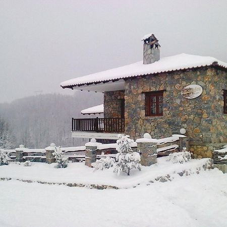 Diaselon Daire Elatochori Dış mekan fotoğraf