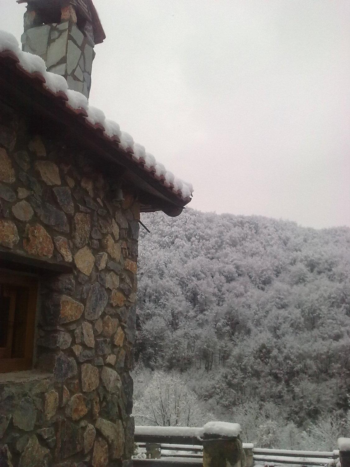 Diaselon Daire Elatochori Dış mekan fotoğraf